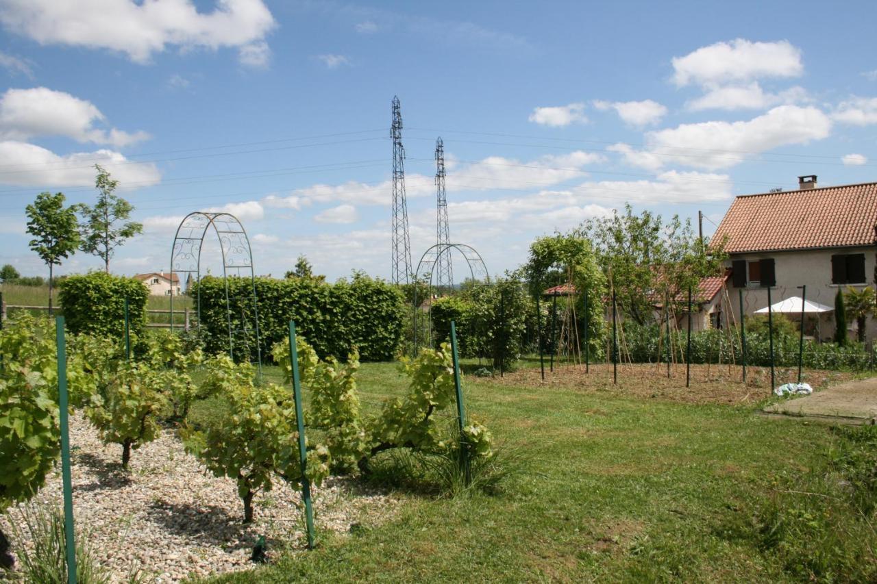 1 Bedroom House 20Min Walk To Centre In Tournus Kültér fotó